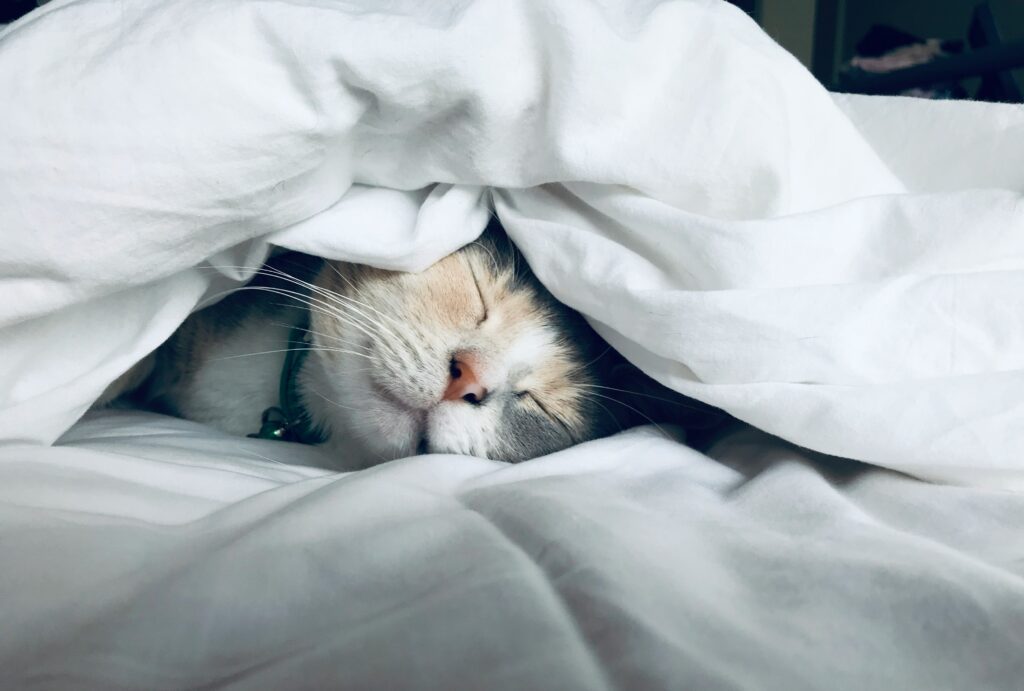 sleep tips for runners